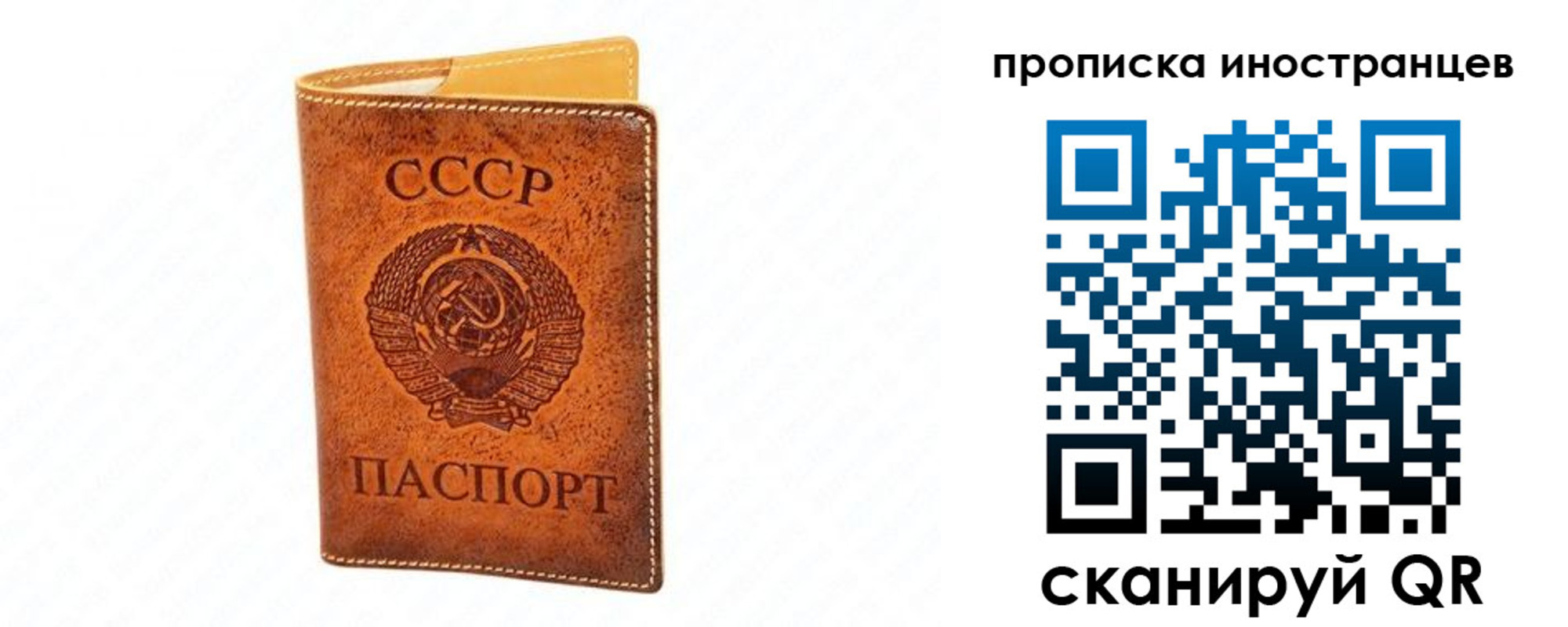 прописка для школы в Новокузнецке